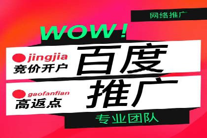 某某SEM服务公司如何帮助企业实现ROI最大化